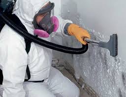 Best Dehumidification Services  in Corte Madera, CA